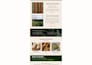 design a fully responsive email template or newsletter